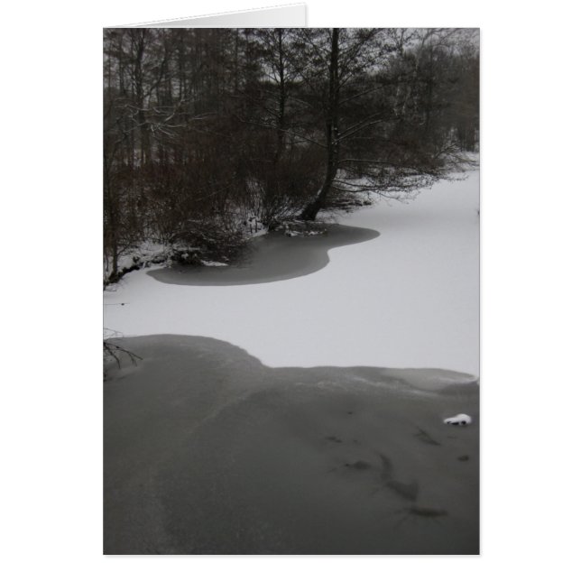 Wintry Lake (Voorkant)