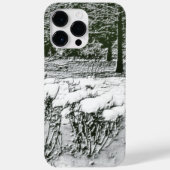 Wintry Park Case-Mate iPhone Case (Achterkant)