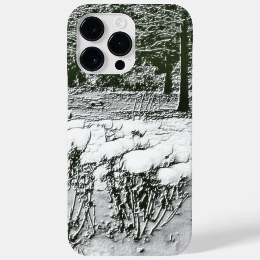 Wintry Park Case-Mate iPhone Case (Achterkant)
