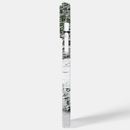 Wintry Park Case-Mate iPhone Case (Achterkant / Links)
