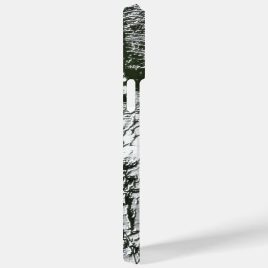 Wintry Park Case-Mate iPhone Case (Achterkant / Rechts)