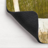 Wioper zwaan met cygnets in IJsland. Muismat (Hoek)