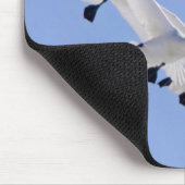 Wioper zwemt in de lucht muismat (Hoek)