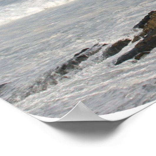 Wipeout Beach, La Jolla Poster (Hoek)