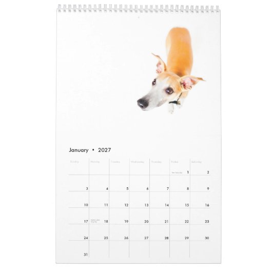 Wippets in de studio 2013 kalender (Jan 2027)