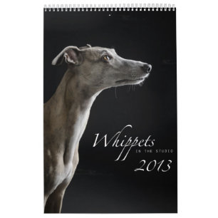 Wippets in de studio 2013 kalender