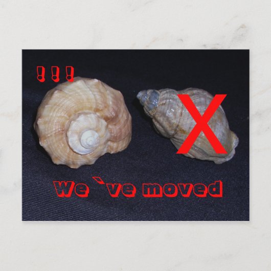 wir sind umgezogen-postkarte aankondigingskaart (Voorkant)