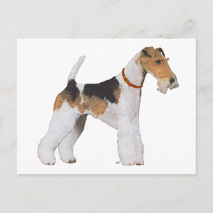 Wire Fox Terrier Briefkaart
