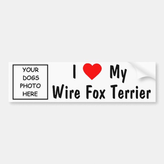 Wire Fox Terrier Bumpersticker (Voorkant)