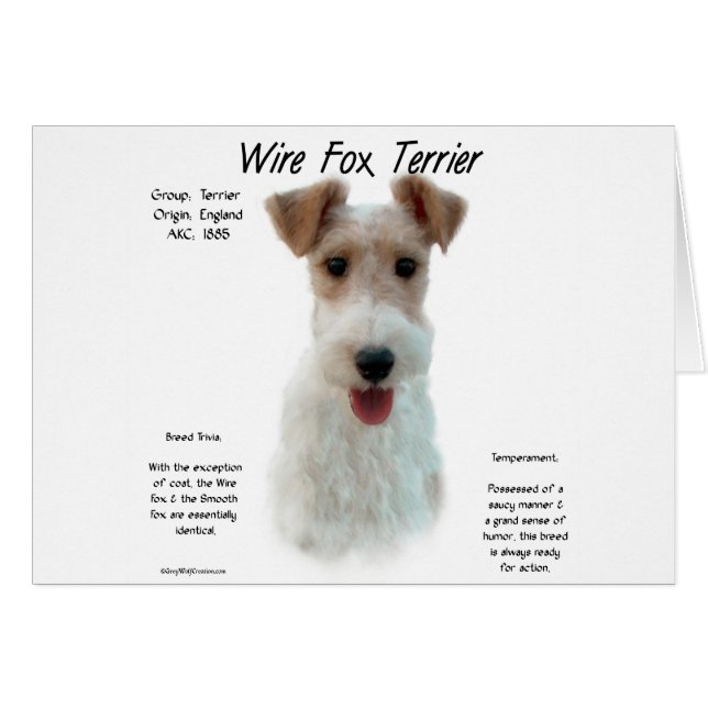 Wire Fox Terrier Geschiedenis; over draadvos terri (Voorkant Horizontaal)