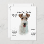 Wire Fox Terrier Geschiedenis; over draadvos terri Briefkaart (Voorkant / Achterkant)