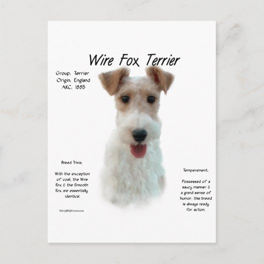 Wire Fox Terrier Geschiedenis; over draadvos terri Briefkaart (Voorkant)