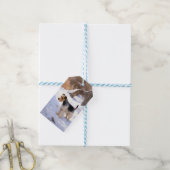 Wire Fox Terrier Laat het Sneeuwen Kerstmis Cadeaulabel (Met Touw)
