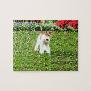 Wire Fox Terrier Legpuzzel