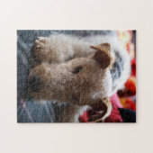 Wire Fox Terrier Legpuzzel (Horizontaal)