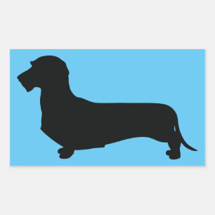 Wire Hair Dachshund Rectangle Sticker