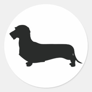 Wire Hair Dachshund Round Sticker