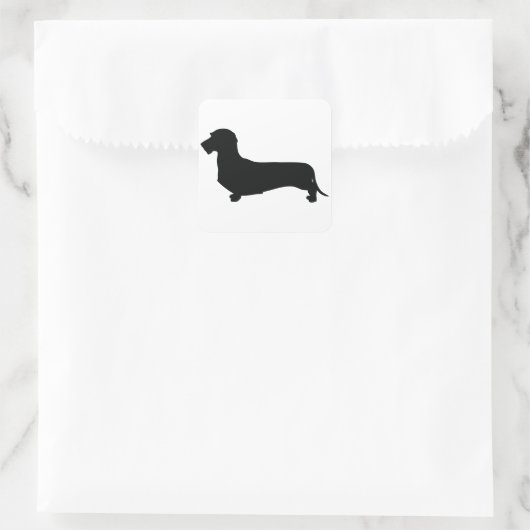 Wire Hair Dachshund Square Sticker (Tas)
