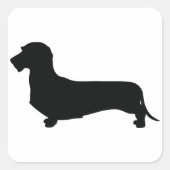 Wire Hair Dachshund Square Sticker (Voorkant)