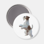 Wire Hair Fox terrier Magneet (Voorkant / Achterkant)