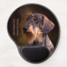 Wire Haire Dachshund