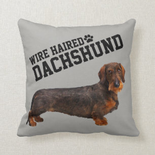 Wire Haire Dachshund Illustrated Pillow Kussen