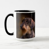 Wire Haire Dachshund-Mok Mok (Links)