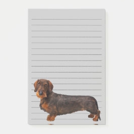 Wire Haire Dachshund Post-it® Notes