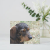 Wire Haire Daschund Dog Briefkaart (Staand voorkant)