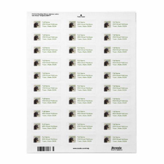 Wire Haire Daschund Dog Etiket (Full Sheet)