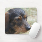 Wire Haire Daschund Dog Muismat (Met muis)
