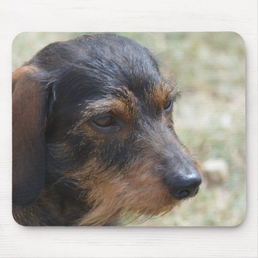 Wire Haire Daschund Dog Muismat (Voorkant)