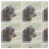 Wire Haire Daschund Dog Stof (Swatch)