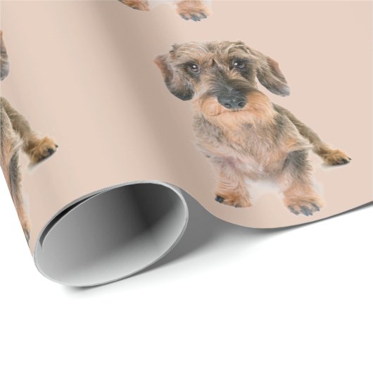 Wire Haire Terrier Dog Brown Modern Animal Cute Cadeaupapier (Rol Hoek)