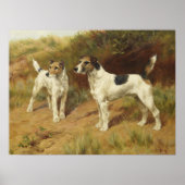 Wire Haire Terriers van Thomas Blinks Poster (Voorkant)