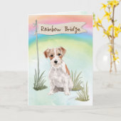Wire Haired Jack Russell Pet Sympathie Over Rainbo Kaart (Gele Bloem)
