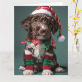 Wire Haired Pointer Elf Puppy Christmas Kaart (Gele Bloem)