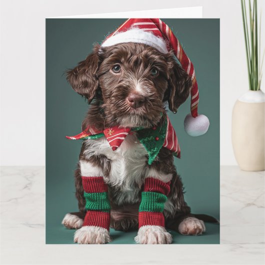 Wire Haired Pointer Elf Puppy Christmas Kaart (Voorkant)