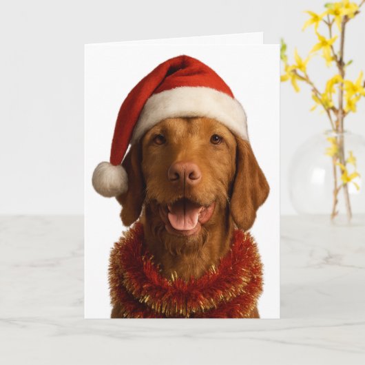 Wire haired Vizsla in a Santa hat Christmas card Kaart (Gele Bloem)