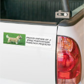 Wire Portugal Podengo Pequeno Bumpersticker (Op Truck)
