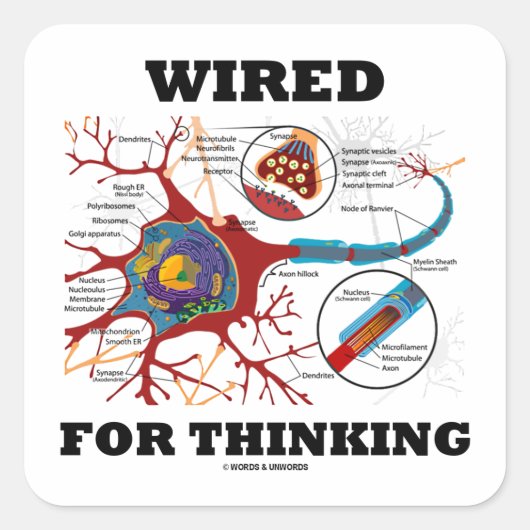 Wired For Thinking (Neuron Synapse) Vierkante Sticker (Voorkant)