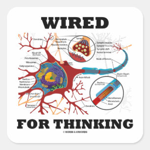 Wired For Thinking (Neuron Synapse) Vierkante Sticker