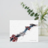 Wireframe microscopisch uitzicht van candida albic briefkaart (Staand voorkant)