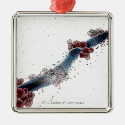 Wireframe microscopisch uitzicht van candida albic metalen ornament (Voorkant)