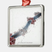 Wireframe microscopisch uitzicht van candida albic metalen ornament (Links)