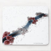 Wireframe microscopisch uitzicht van candida albic muismat (Voorkant)