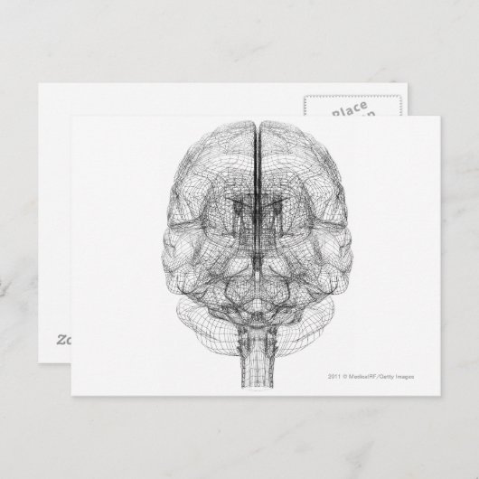 Wireframe van de hersenen briefkaart (Voorkant / Achterkant)