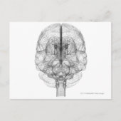 Wireframe van de hersenen briefkaart (Voorkant)