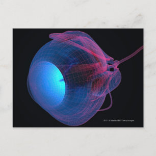 Wireframe van de oogspieren briefkaart