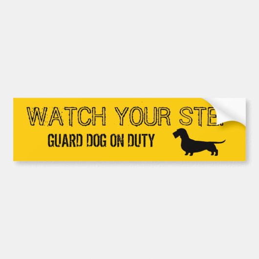 Wirehaered Dachshund Bekijk je stap Bumpersticker (Voorkant)